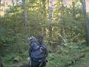 Tanis.jpg