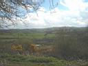 DSC00446.jpg
