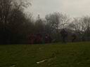DSC00461.jpg